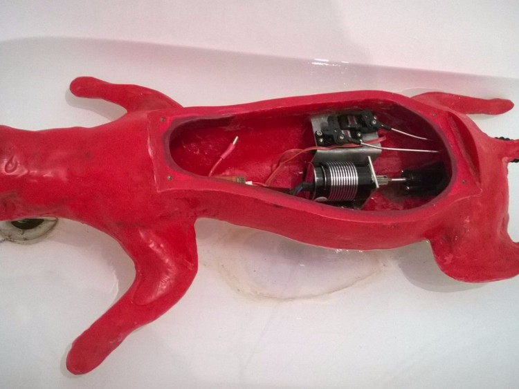 O artista que transformou um gato morto num drone