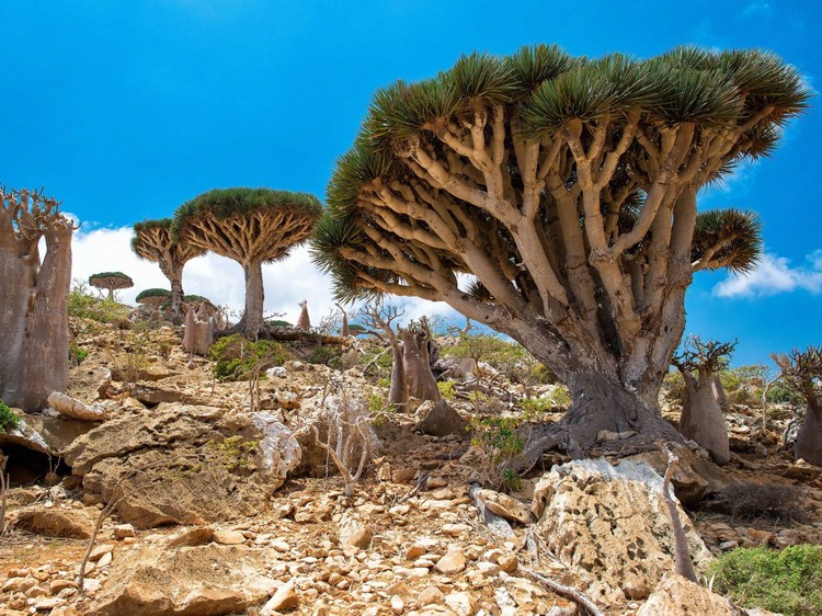 20 Maravilhas naturais espalhadas pelo mundo