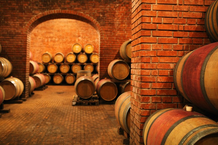 11 فكرة غير تقليدية حول استثمار الأموال