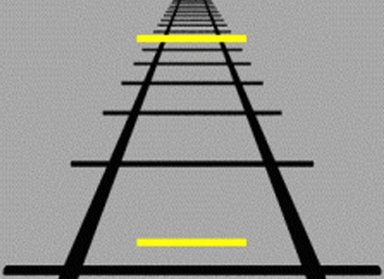  17 خدعة بصرية 