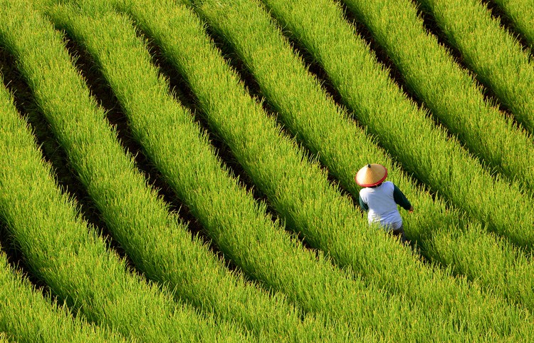 Le 10 economie più forti nel 2050