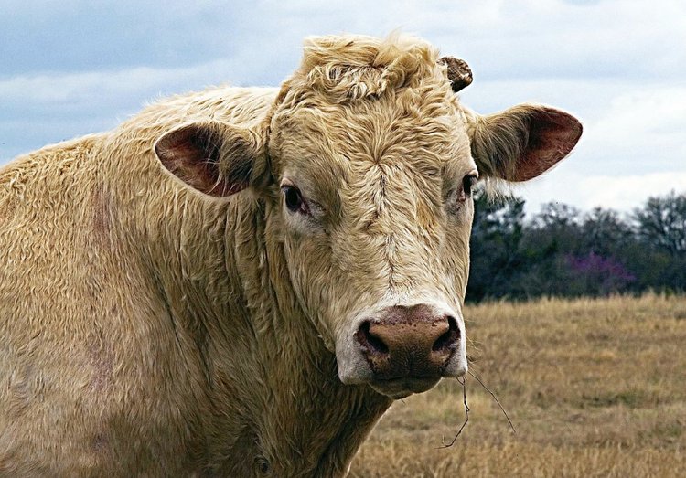 Jeff Bezos: La historia de una de las personas más ricas del mundo