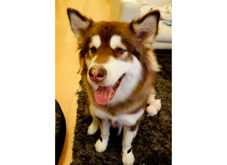 China e a prole dos seus mais ricos e famosos