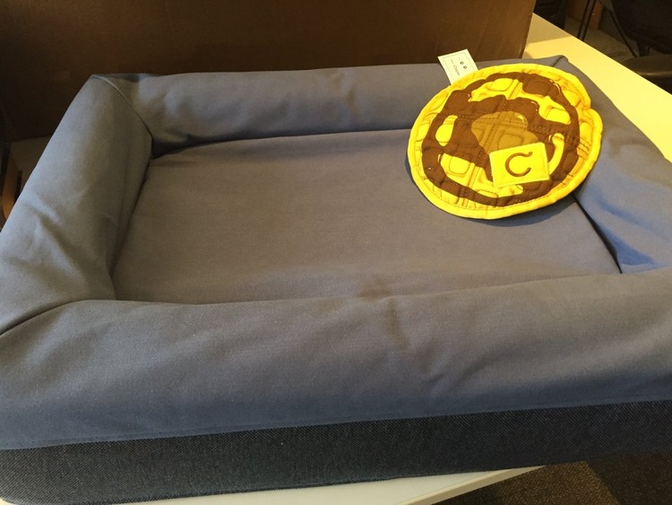 جائزة ترضية بـ100000$.. على ماذا يحصل مرشحو أوسكار