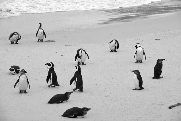 Desde las Islas Cook hasta Islandia: las 50 mejores playas del mundo