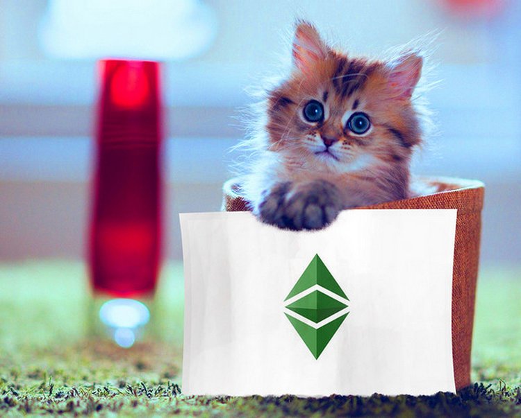 عشرة ألتكوينات ينبغي شراؤها في يوليو