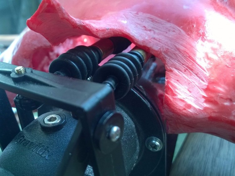 O artista que transformou um gato morto num drone