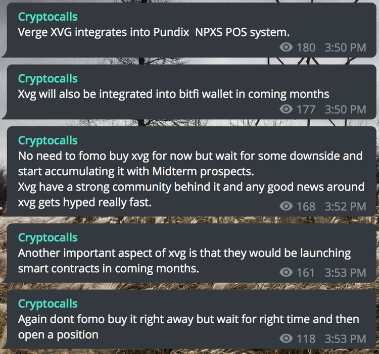 Gonzo Crypto Blog - Week Five