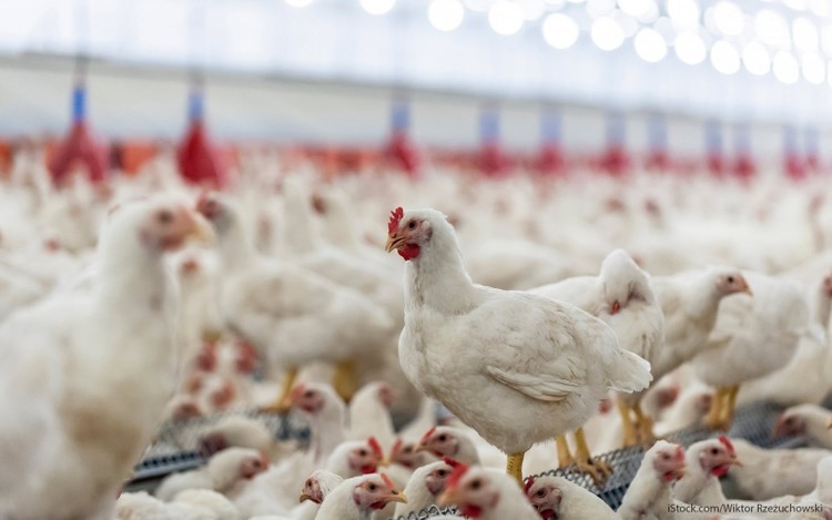 10 Ações que não caíram em 5 anos