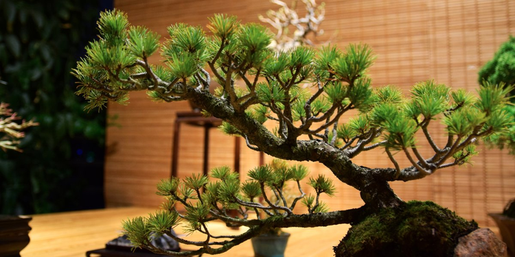 As 13 principais diferenças entre as pessoas bem-sucedidas e mal-sucedidas