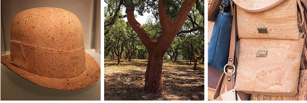 19 Razões para os apreciadores de vinhos visitarem Portugal