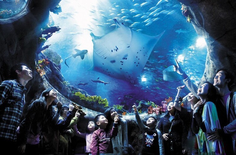 Os melhores parques de diversões do mundo