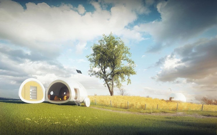 حياة داخل البيضة