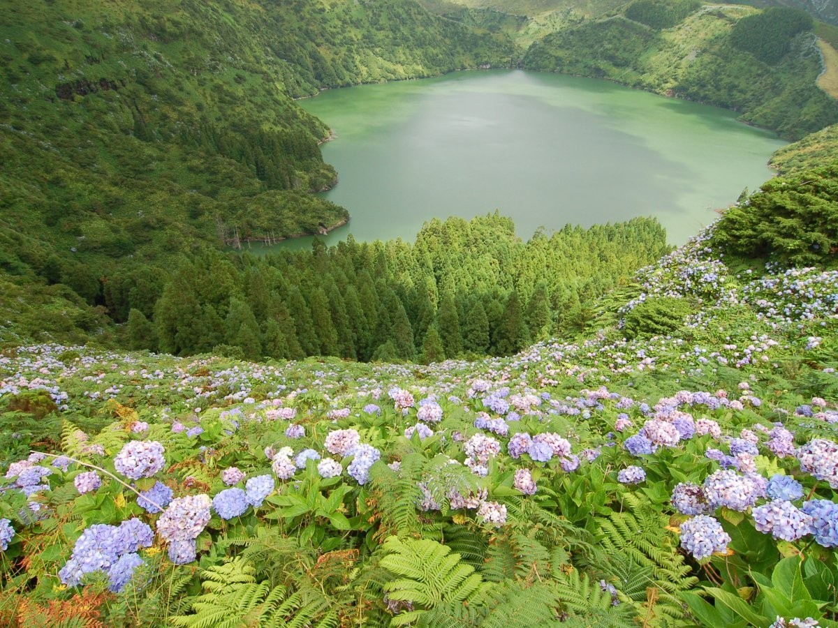 Ilha das Flores: um destino que provavelmente desconhece | Foto | ihodl.com