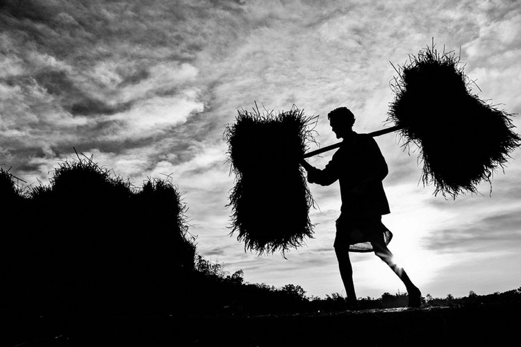 30 صورة من البلدان النامية
