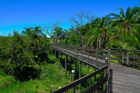 Los 10 países con el mejor clima