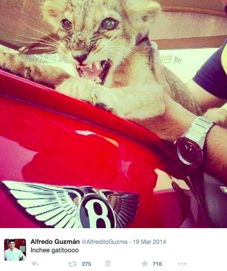 Los hijos del Chapo en las redes sociales