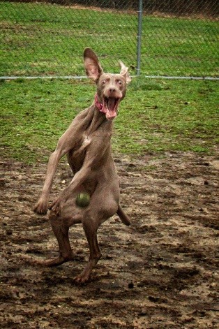 48 Pessoas que você gostaria de conhecer na vida real