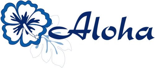 8 cosas que no sabías sobre el Wi-Fi