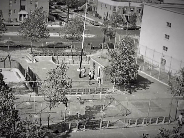 A fascinante história de Howard Schultz, CEO da Starbucks