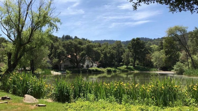 FOTOS: la casa más cara que se puede comprar en Silicon Valley