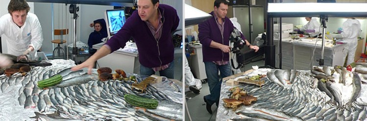 Paisagens fantásticas feitas de comida