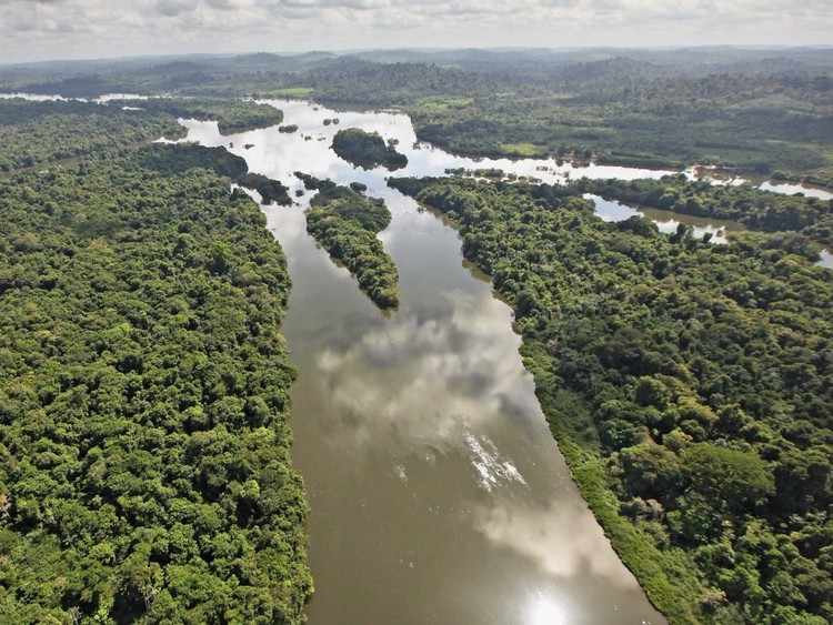 25 maravillas de la naturaleza en peligro de extinción