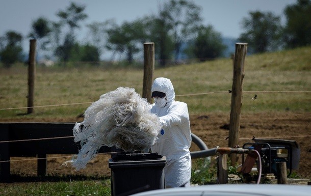 A Apple poderá mesmo vir a produzir carros