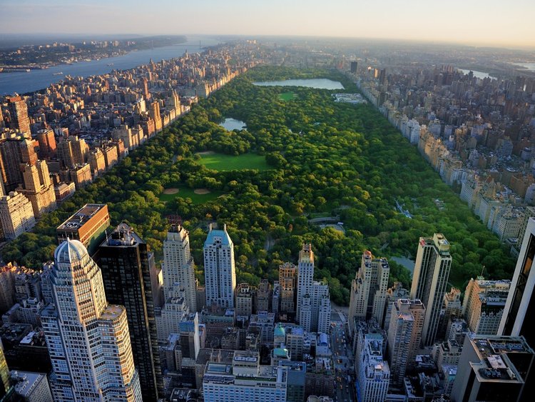 ¿En qué se gastan su dinero Jeff Bezos, Elon Musk y otros multimillonarios?