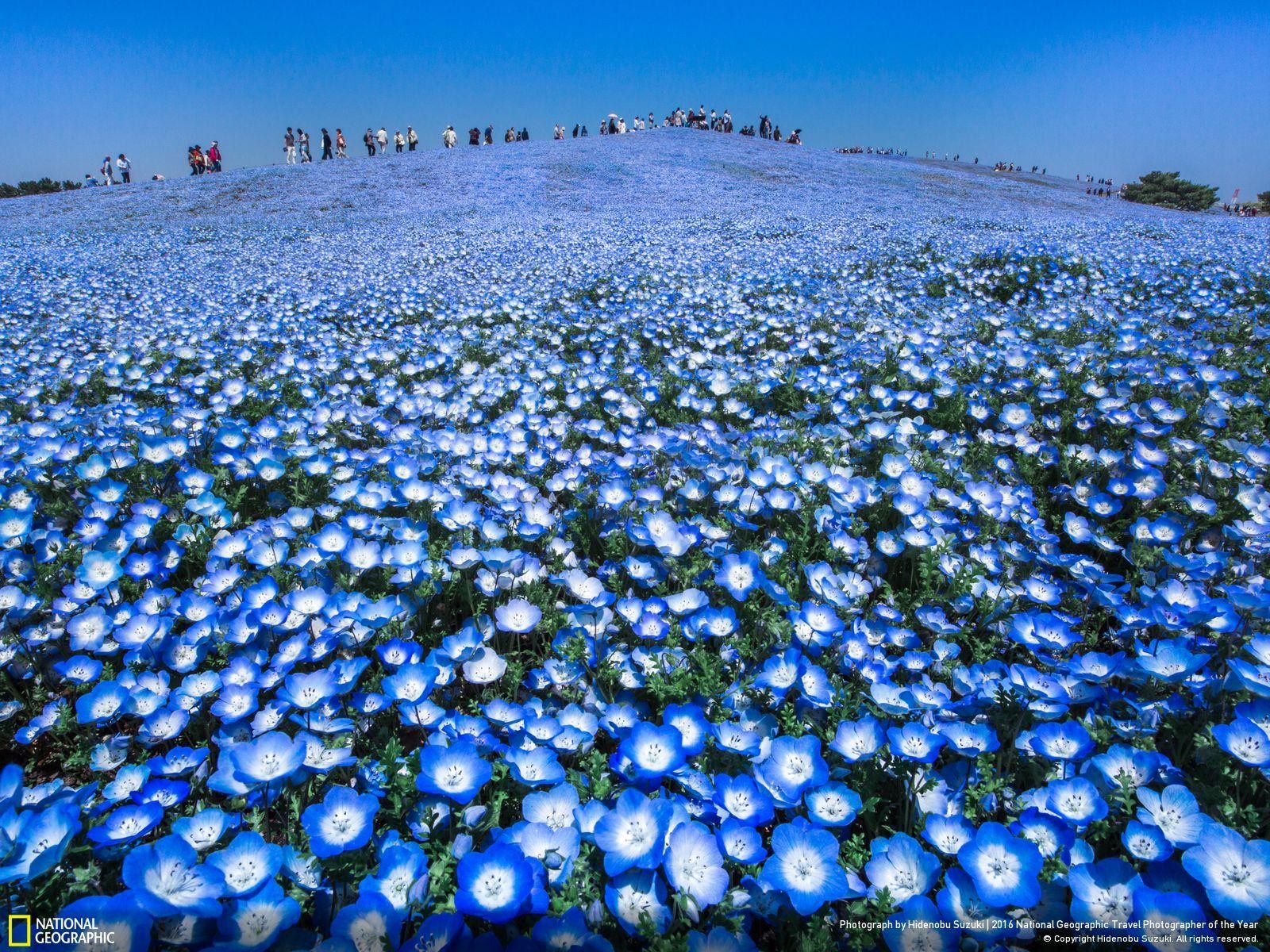 47 fotos impresionantes del concurso de fotografía Fotógrafo de Viajes de National Geographic