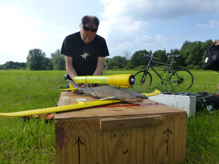 Un artista fabrica drones y otros artefactos a partir de cadáveres de animales