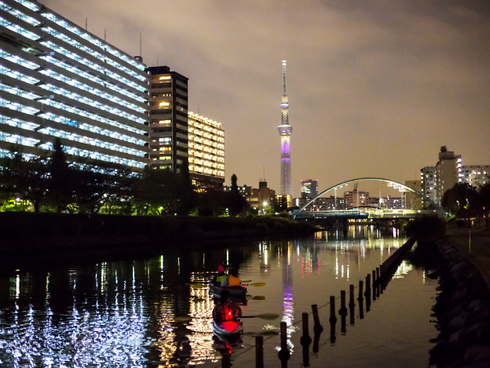 Top Airbnb Experiences Around the Globe