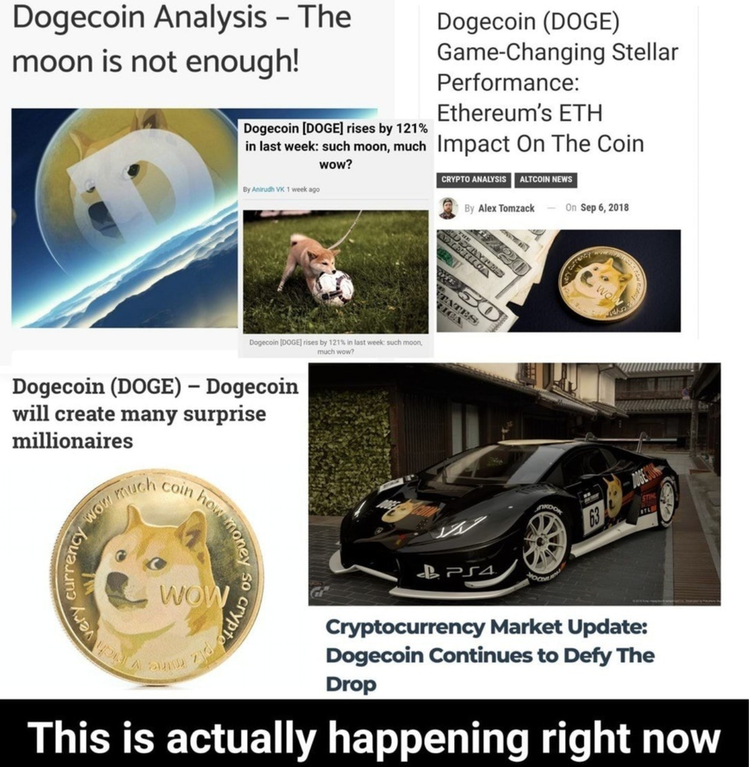 Gonzo Crypto Blog - Week 10: Shibe, Fetch That Moon