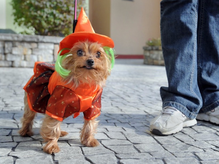 12 Aspetos que podem fazer com que os outros não gostem de si