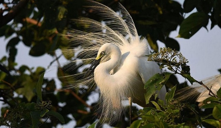 Le 9 attrazioni turistiche più sottovalutate d’Asia