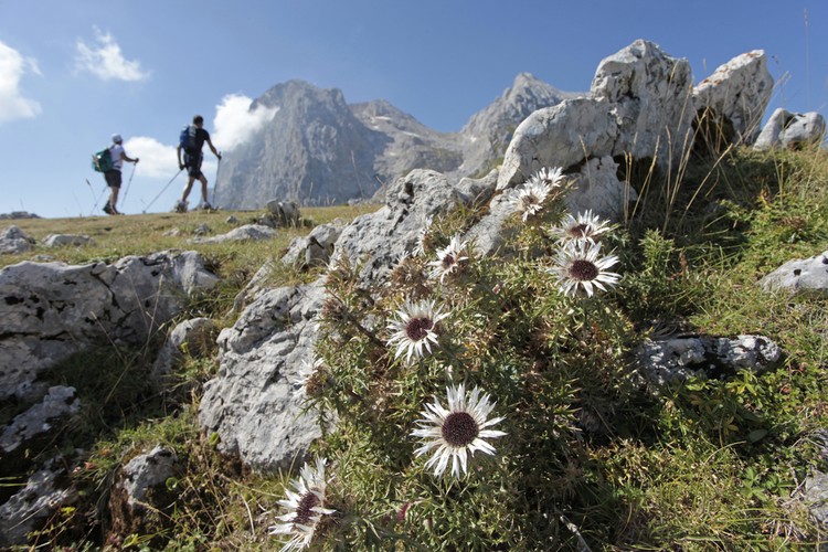 5 maneras de hacerle frente a las creencias limitantes
