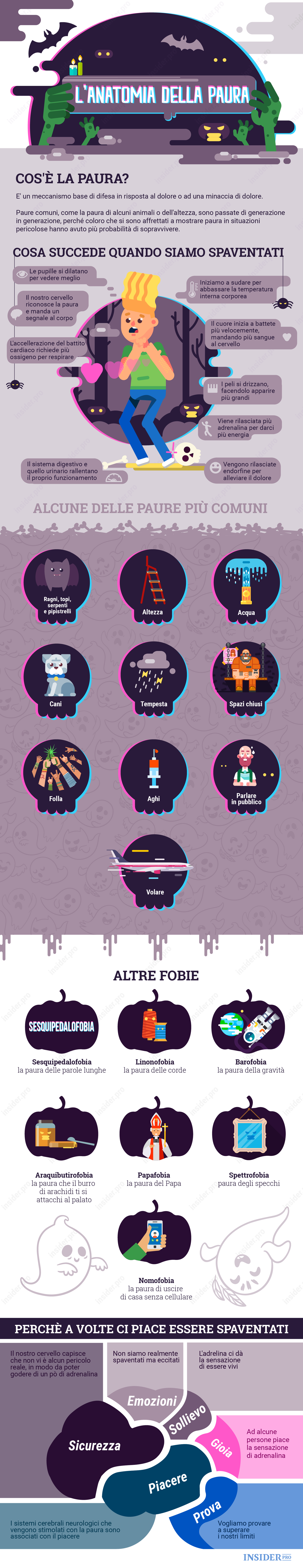 L'anatomia della paura