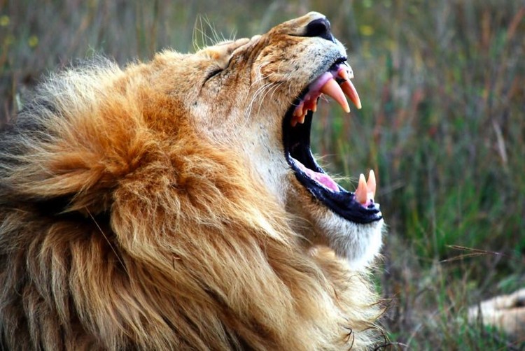 13 tácticas de las fuerzas especiales que te serán de gran utilidad en tu vida normal