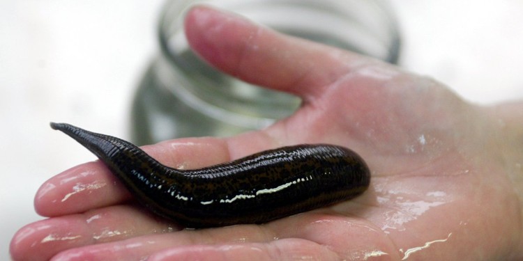 9 Sinais de que o seu colega poderá ser psicopata