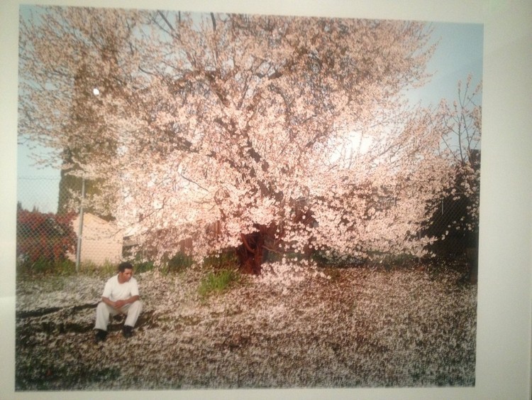 معرض الفنون لأصحاب المليارات