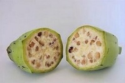 L'evoluzione del cibo fino ai giorni nostri