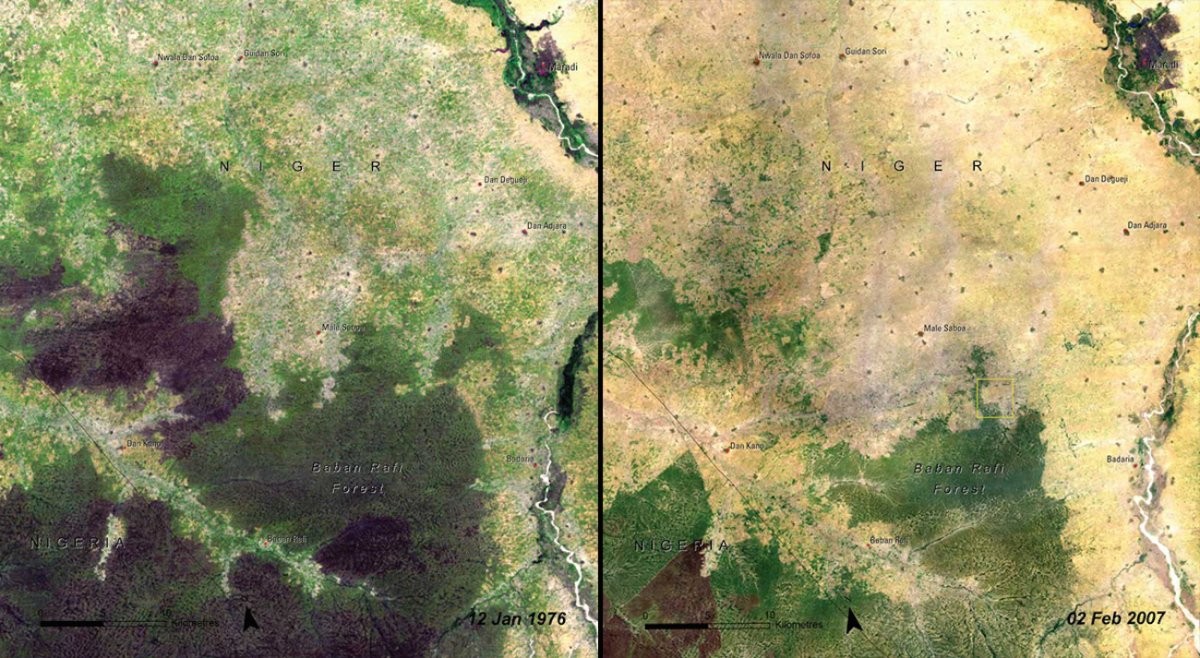 Вырубка амазонских лесов из космоса