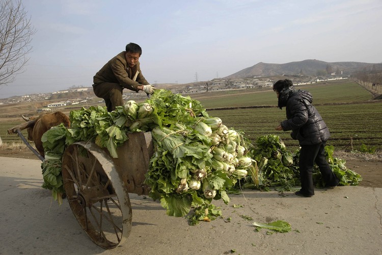 Congresso do Partido dos Trabalhadores na Coreia do Norte: reformas económicas ou afirmação de poder?