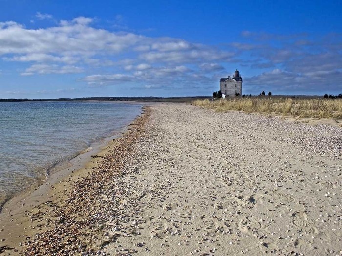 ألعاب ستيف كوهين