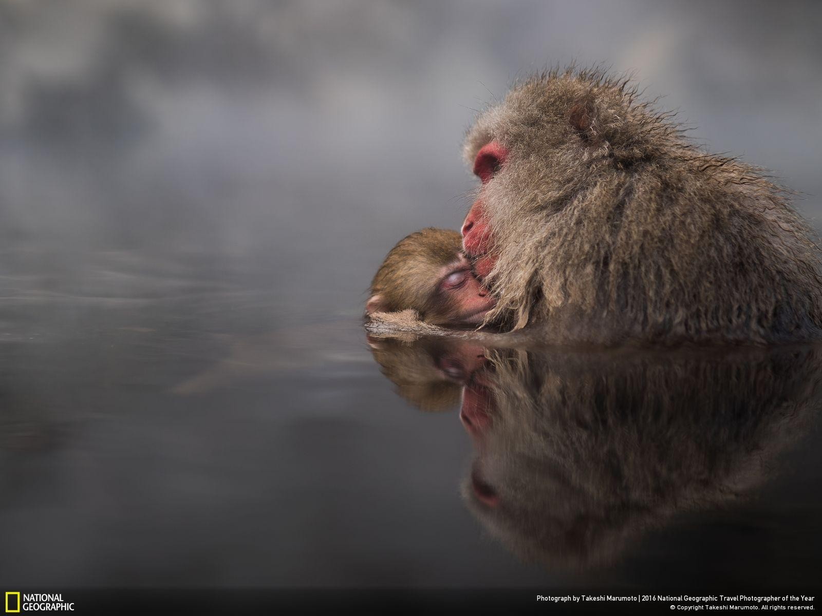 47 fotos impresionantes del concurso de fotografía Fotógrafo de Viajes de National Geographic