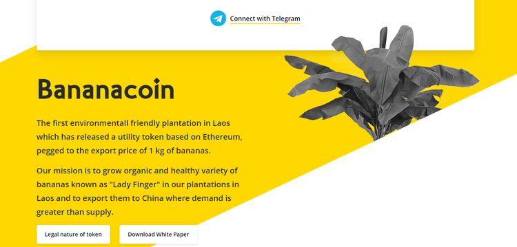 5 Curious ICO Campaigns