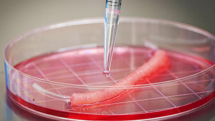 14 acontecimientos que cambiaron la historia