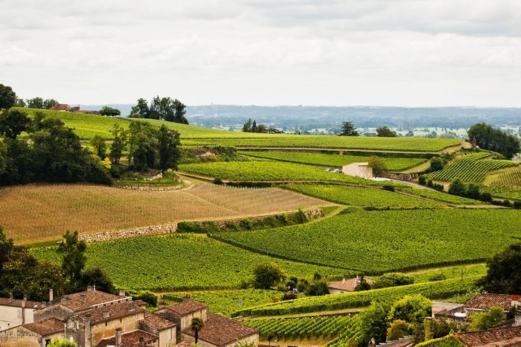Que presente dar a um multimilionário?