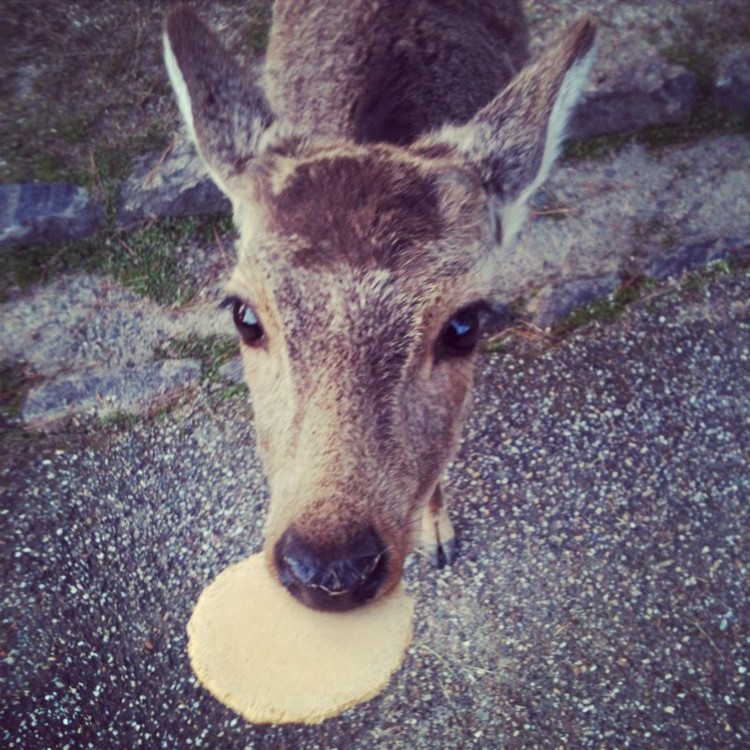 10 أماكن مدهشة في اليابان