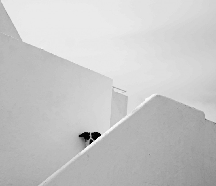 22 Fotografias que são um hino ao minimalismo